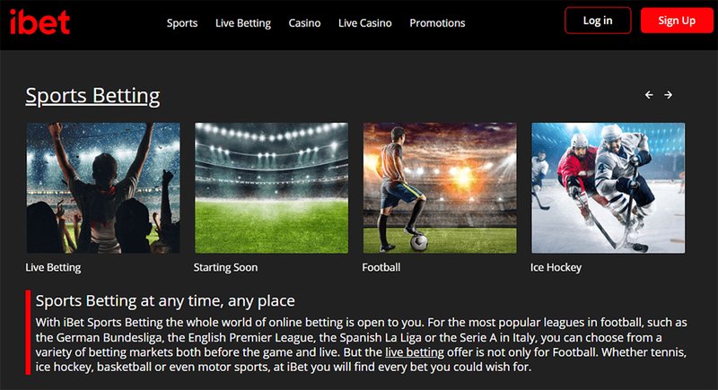 Découvrez les Offres de Casino et Sports avec Ivybet France